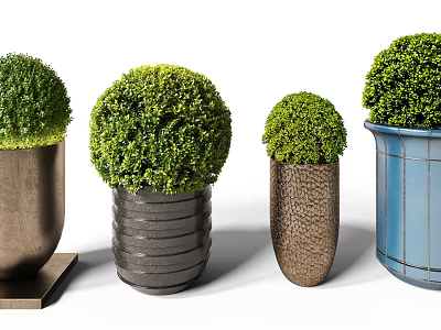 Round Shaped Green Bonsai Potted Plants With Various Material Colored Pots 3d model