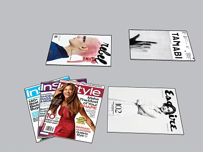 Fashion Magazines Collection With Vogue Instyle Elle Taimagi Covers And 3d model