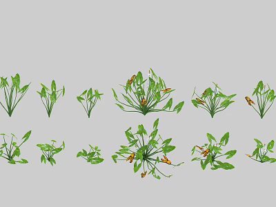 Various Types of Aquatic Plants with Green Leafy Foliage and Growth Traits 3d model