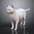 Realistic 3D White Cat With Yellow Eyes And Pink Nose On Shiny Surface 3d model