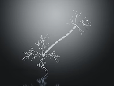 Healthy Skin Organ With Natural Hair Follicles And Smooth Texture Closeup View 3d model