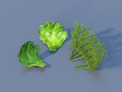 Fresh Green Vegetables Including Lettuce Leaves And Fennel Sprigs Arranged On Gray Background 3d model
