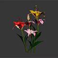 Colorful Lily Bouquet Featuring Red Pink Yellow White Lilies With Green Leaves Against Dark Background