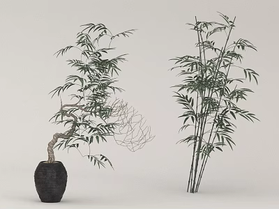 Green Bamboo Bonsai Potted Plants With Black Pot And Multiple Stems 3d model