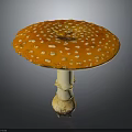 Vibrant Orange Mushroom with White Spots on Cap and White Stem Having Soil at Base