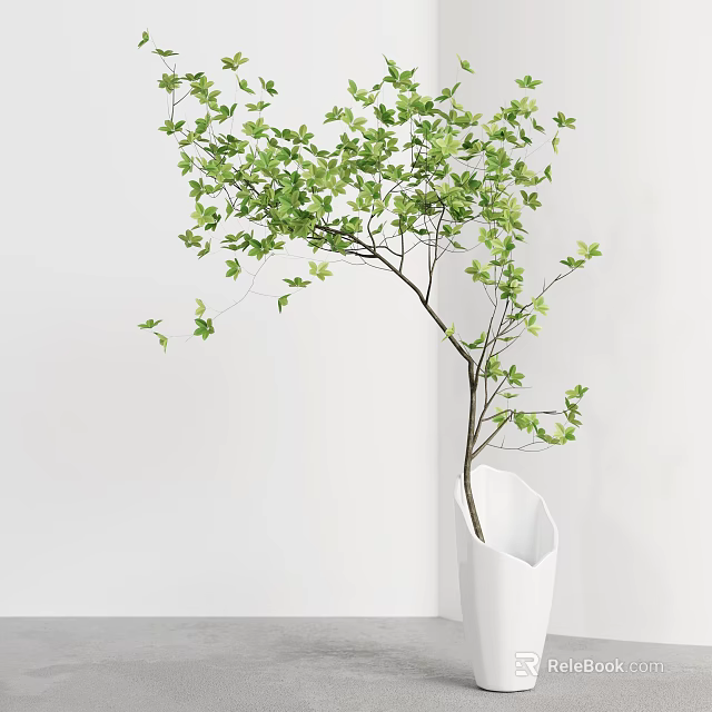 White Hexagonal Vase With Green Leaf Plant Against White Wall And Gray Floor 3d model 