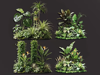 Plant Combinations With Tropical Plants Ferns And Large Leaf Varieties For Decorative Greenery Arrangements 3d model