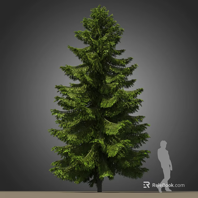 Tall Arbor Featuring Lush Green Foliage Dense Branches And Human Silhouette For Scale 3d model 