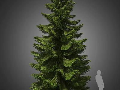 Tall Arbor Featuring Lush Green Foliage Dense Branches And Human Silhouette For Scale 3d model
