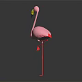Pink Flamingo Standing On One Leg With Shiny Surface And Dark Background