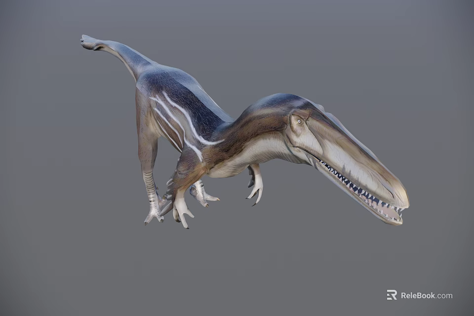 Reptile Dinosaur with Long Snout Sharp Teeth and Striped Body Standing Pose on Gray Background 3d model 