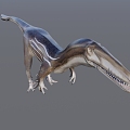 Dinosaurs 2 3d model