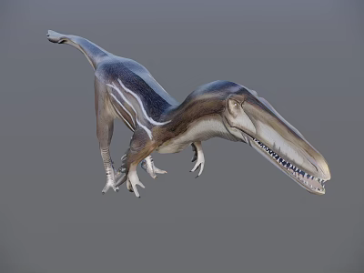 Reptile Dinosaur with Long Snout Sharp Teeth and Striped Body Standing Pose on Gray Background 3d model