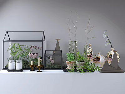 Decorative Ornament Set With Green Plants Vases Candles And Metal Frame Glass Terrarium 3d model