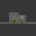 Lush Green Grass Plants Growing Through Dry Cracked Concrete Surface