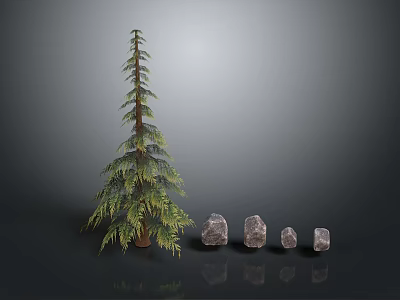 Evergreen Pine Tree And Natural Stones With Various Sizes And Green Foliage 3d model