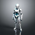 Humanoid Robot With White Blue Mechanical Structure Standing On Reflective Surface