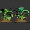 Fresh Green Vegetable Plants With Red Fruits Growing In Brown Soil