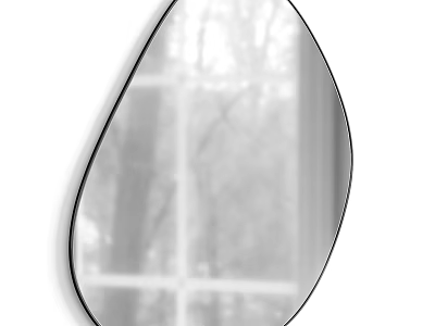 Irregular Shaped Black Frame Mirror Reflecting Trees And Window View Interior 3d model