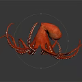 Shiny Red Octopus With Spread Out Tentacles And White Suckers On Dark Background