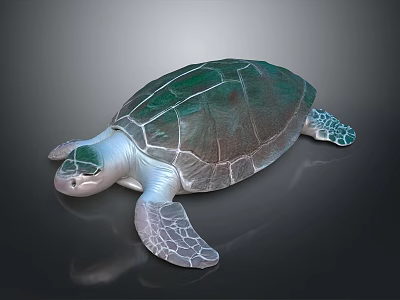Realistic Green Shell Turtle With White Body And Textured Fins On Black Background 3d model