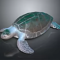 Realistic Green Shell Turtle With White Body And Textured Fins On Black Background