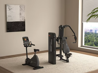 Home Gym Interior With Stationary Bike Multi Functional Trainer And Wall Art 3d model