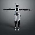 Robot Robot Assistant Small Robot Robot Butler Robot Butler Figure Game Figure 3d model