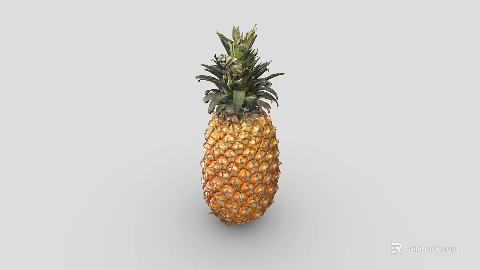 Fresh Ripe Pineapple With Green Leafy Top And Golden Yellow Diamond Pattern Skin 3d model 