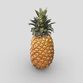 Fresh Ripe Pineapple With Green Leafy Top And Golden Yellow Diamond Pattern Skin