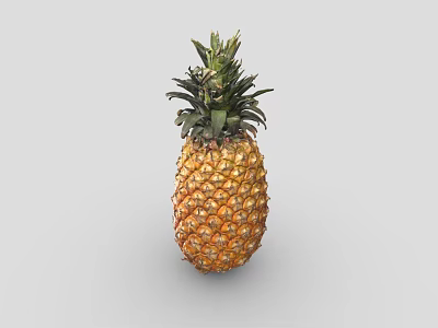 Fresh Ripe Pineapple With Green Leafy Top And Golden Yellow Diamond Pattern Skin 3d model