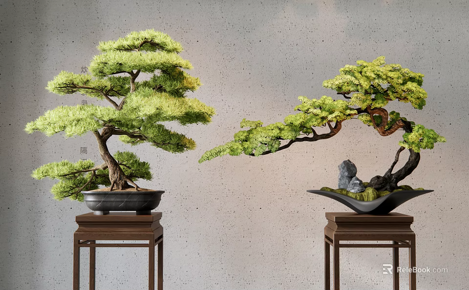 Elegant Bonsai Trees With Curved Branches Green Foliage On Wooden Stands And Stone Decorations 3d model 