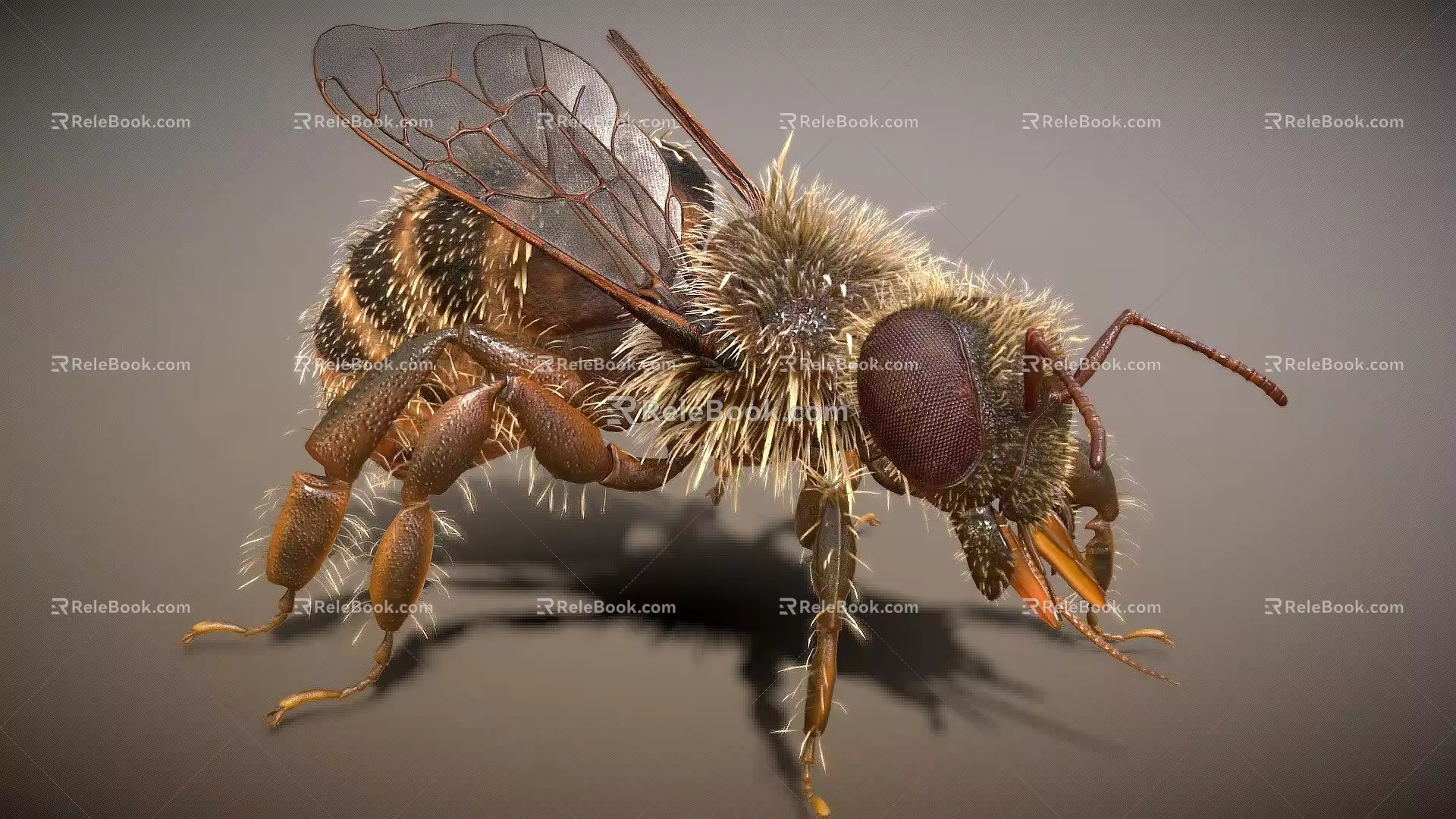 modern bee insect 3d model