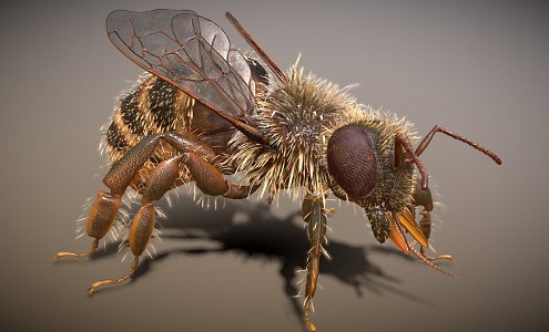 modern bee insect 3d model