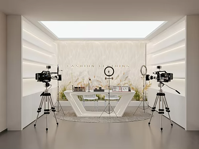 Modern Public Office Space Interior Design With Cameras Tripods Counter Plants And Lighting 3d model