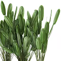 Indoor Decorative Bonsai Plant With Green Long Leaves In White Rectangular Pot