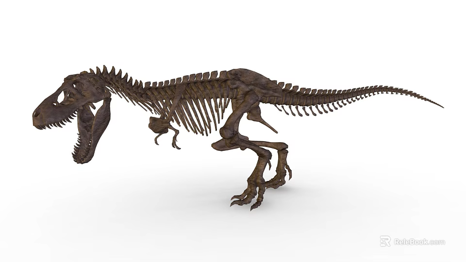 Realistic T Rex Dinosaur Skeleton With Detailed Bones And Standing Posture 3d model 