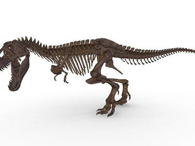 Realistic T Rex Dinosaur Skeleton With Detailed Bones And Standing Posture 3d model