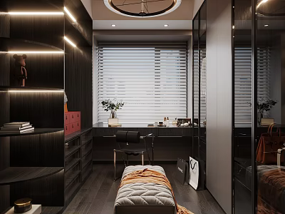 Modern Walk in Closet Interior Design With Dark Wood Cabinets Mirrored Doors And Dressing Bench 3d model
