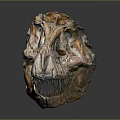 Detailed Dinosaur Skull Fossil Exhibiting Prehistoric Bone Structure And Sharp Teeth 3d model