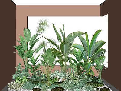 Indoor Green Plants Decorative Arrangement With Large Leaves Ferns And Succulents 3d model