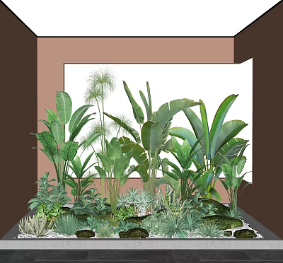 Indoor Green Plants Decorative Arrangement With Large Leaves Ferns And Succulents 3d model