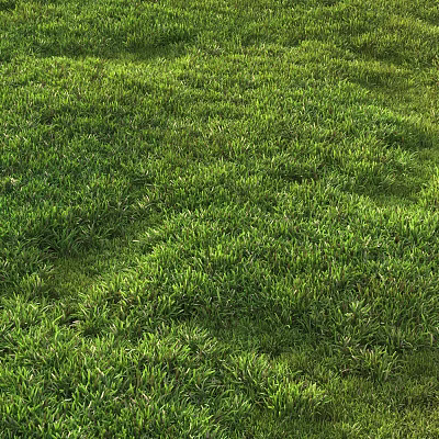 Lush Green Grass Field With Vibrant Blades In Natural Outdoor Landscape 3d model