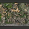 Scenic Natural Landscape With Green Vegetation Earth Terrain And Stone Pathway