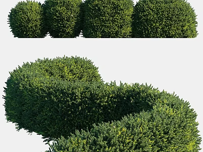 Decorative Topiary Ornament Arrangement With Round And Curved Green Shrubs For Garden 3d model
