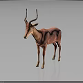 Pink Antelope Standing With Long Horns On Dark Background Showing Reflection 3d model