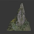 Natural Wooden Stone With Green Moss And Rough Organic Surface Texture