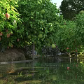 Lush Garden Landscape With Fruit Trees Water Reflection And Purple Flowers