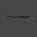 Long Neck Marine Reptile 3D Model With Sharp Teeth On Green Background 3d model