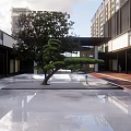 Modern Garden Landscape With Central Tree Reflective Pool And Building Facade 3d model